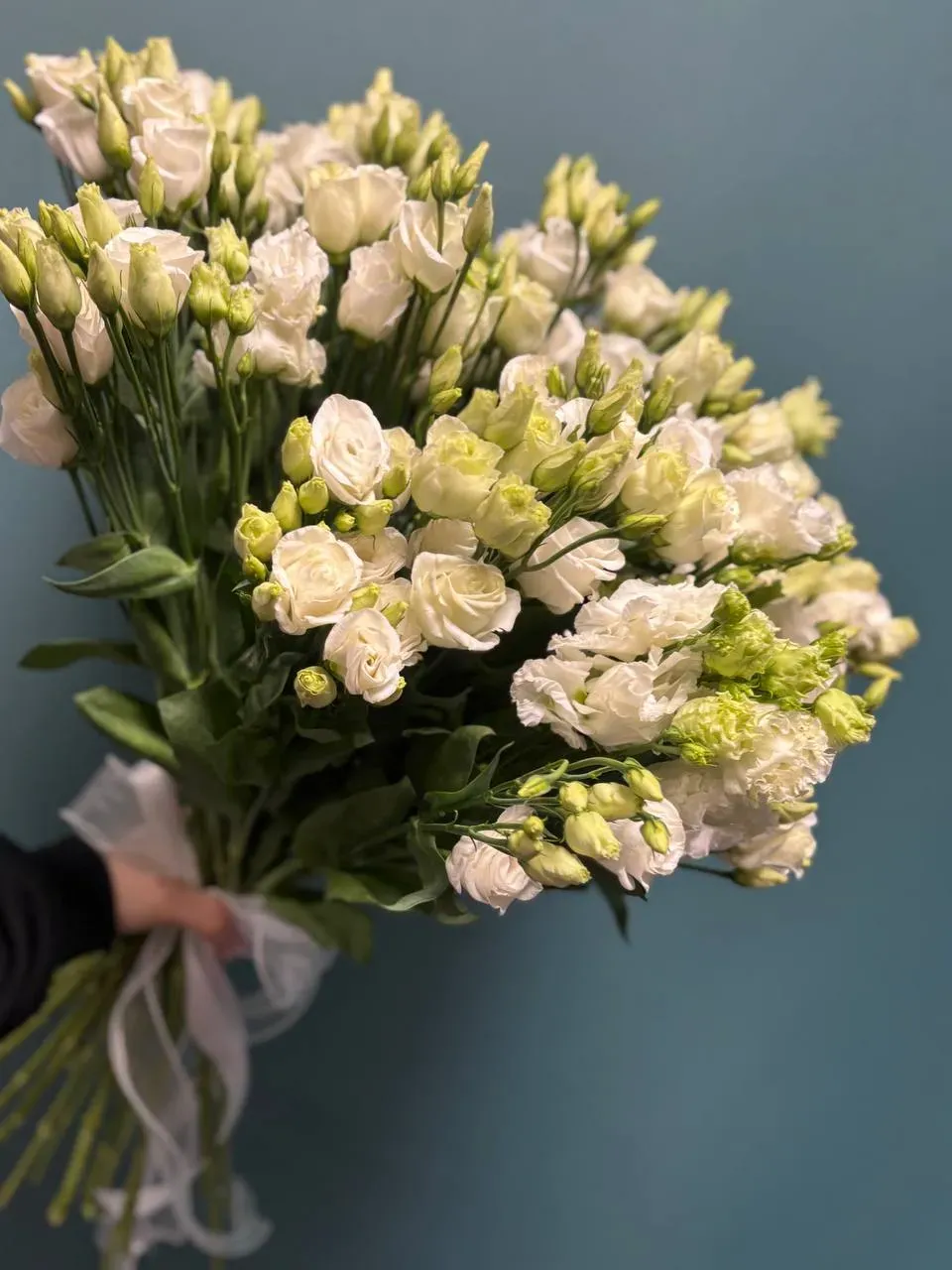 Букет из 25 эустом с лентой
