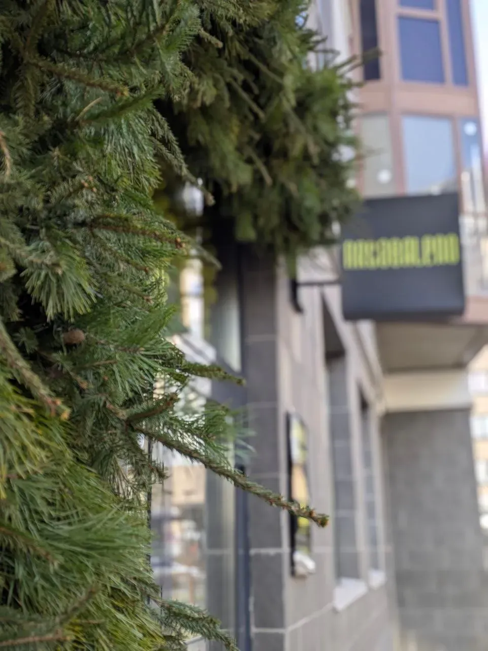 Новогоднее оформление гирляндой из живой хвои