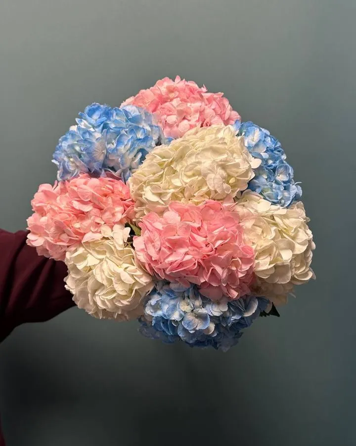 Букет из 9 гортензий